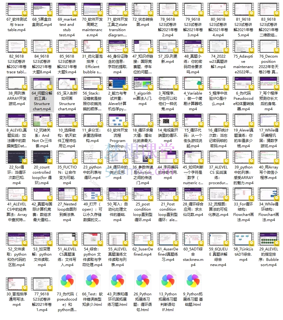 Alevel CS P2 programming编程-9618课程