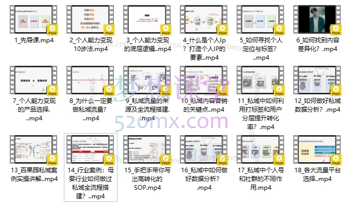叨叨老师全域流量运营操盘课