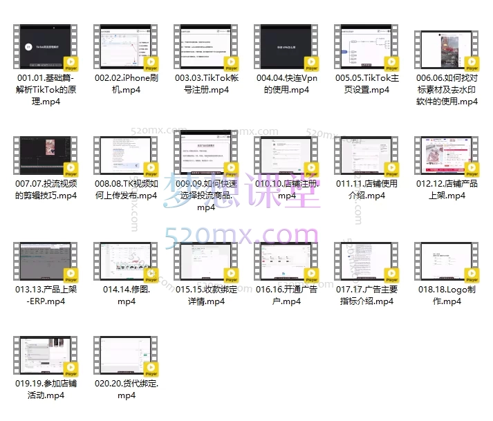 炳森文化TikTokShop高阶陪跑营:从零基础到精通的全方位实战课程