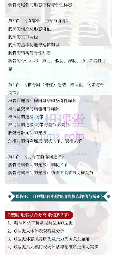 马子惟整合评估培训学院23节四维教练私教入门课程包