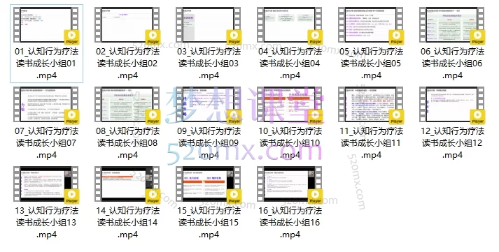 认知行为--邱官钦读书成长分享16讲