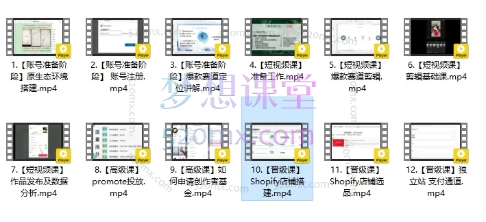 TIKTOK海外自媒体短视频录播课