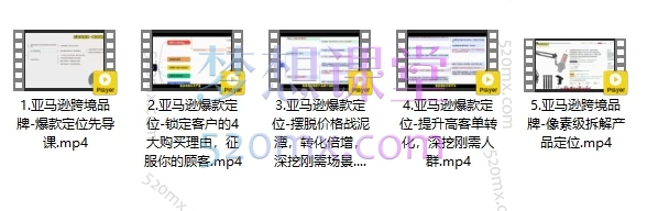 恐龙跨境-爆款定位高客单产品蓝海同质化战略