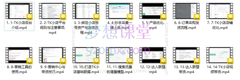 蕾蕾聊跨境TikTok店铺运营从0到1学习课程