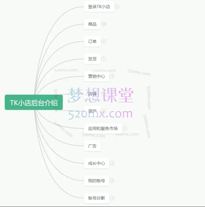 蕾蕾聊跨境TikTok店铺运营从0到1学习课程