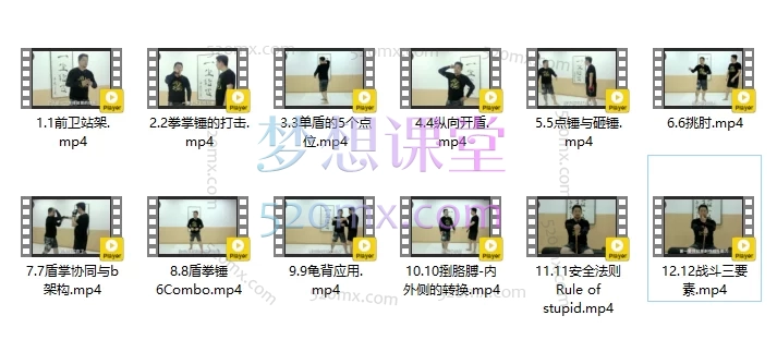 盾卫术专业入门线上课-大K老师亲授