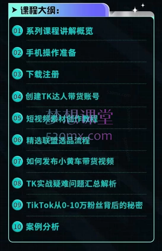 优品出海:TikTok海外短视频运营实操课/跨境零基础入门