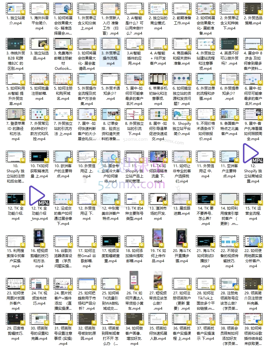 外贸大表姐:外贸团队必修课(拓客+谈判+展会+TK+智能一站式外贸加油)