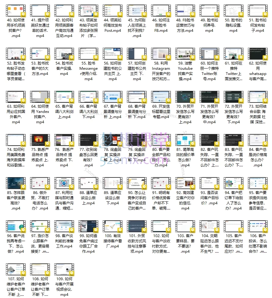 外贸大表姐:外贸团队必修课(拓客+谈判+展会+TK+智能一站式外贸加油)