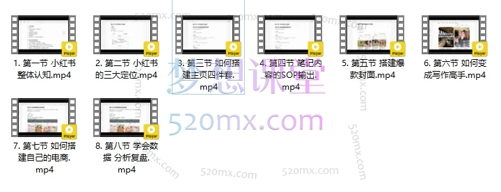 大彭小红书从0-1打破认知,零基础认知+实操+案例