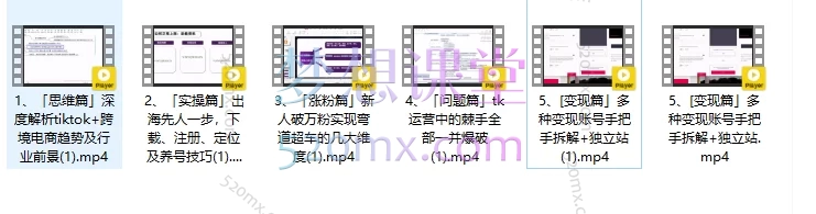 华友会tiktok实战变现训练营
