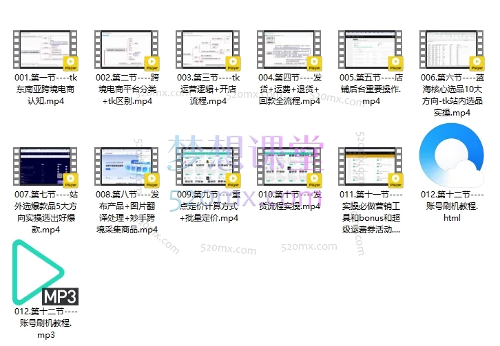 海外抖音Tik Tok全过程运营课程,入门到高阶