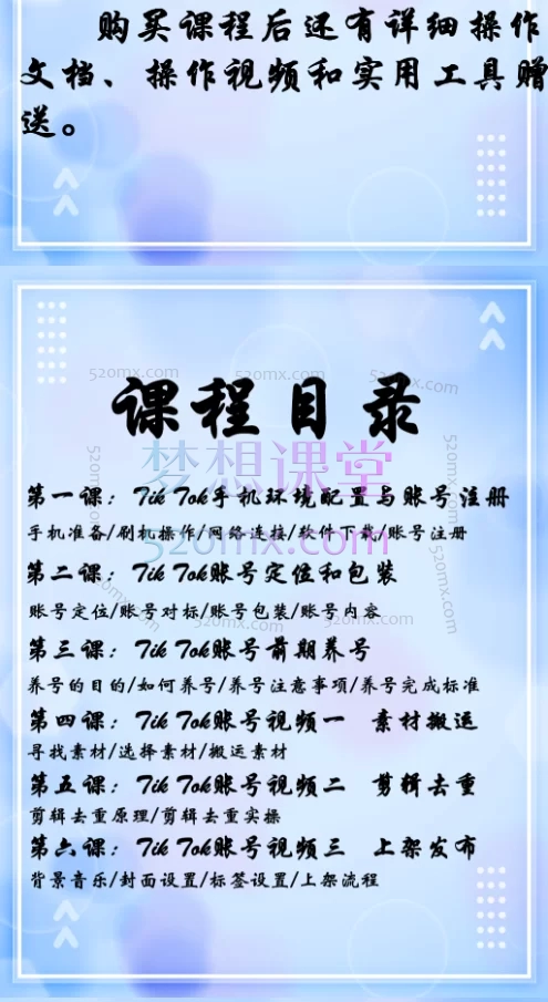 海外抖音Tik Tok全过程运营课程,入门到高阶