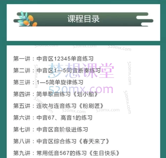 高老师24孔复音口琴入门二十讲,高老师24孔复音口琴入门二十讲