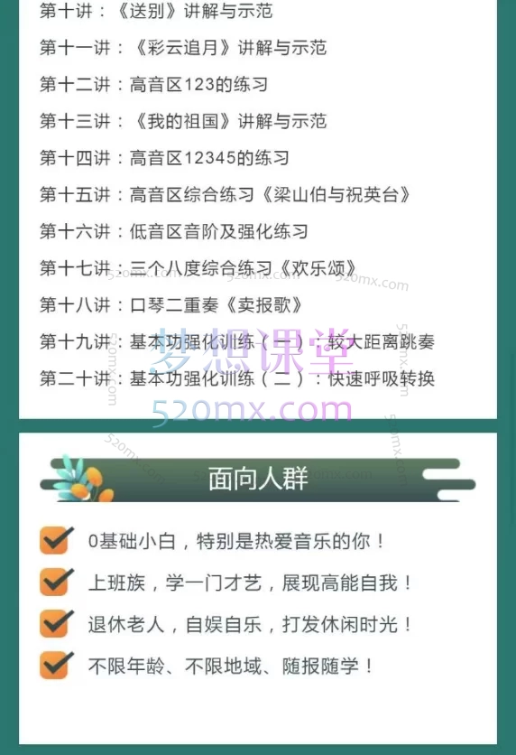 高老师24孔复音口琴入门二十讲,高老师24孔复音口琴入门二十讲
