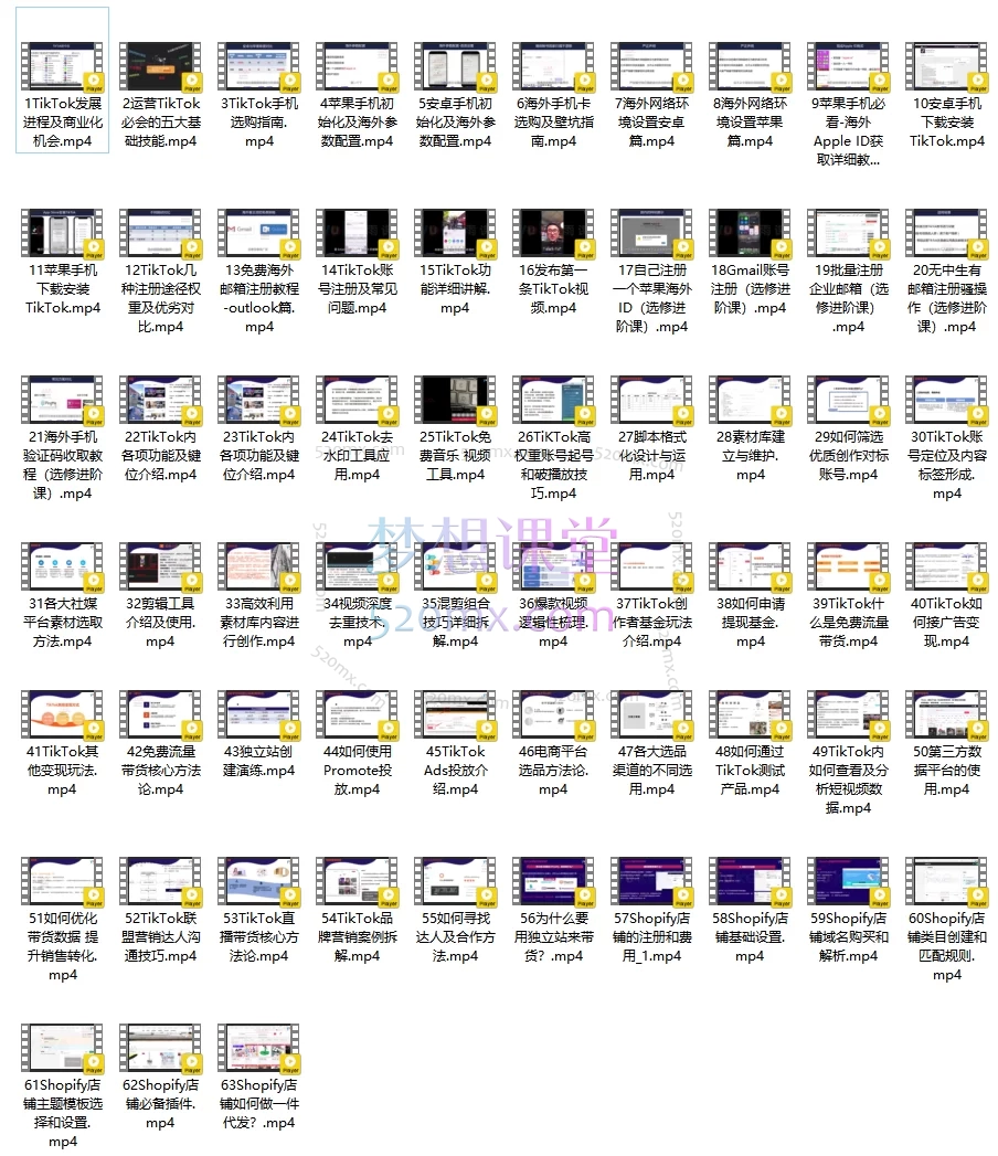 【火爆】TikTok全阶运营体系课