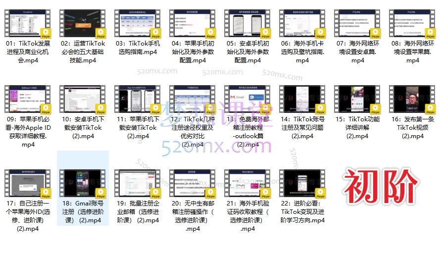 李社长TikTok全阶运营体系课【初阶】+【中阶】+【高阶】