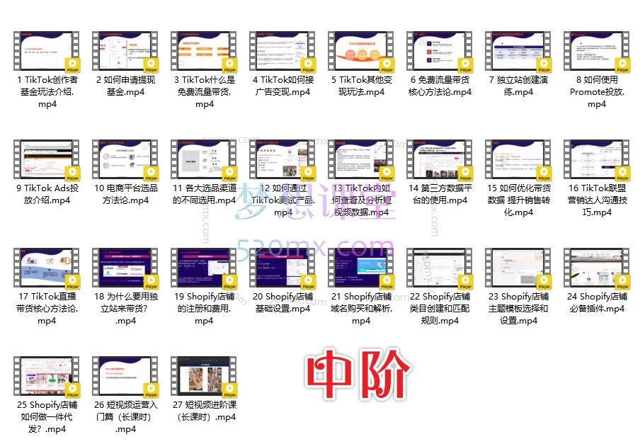 李社长TikTok全阶运营体系课【初阶】+【中阶】+【高阶】