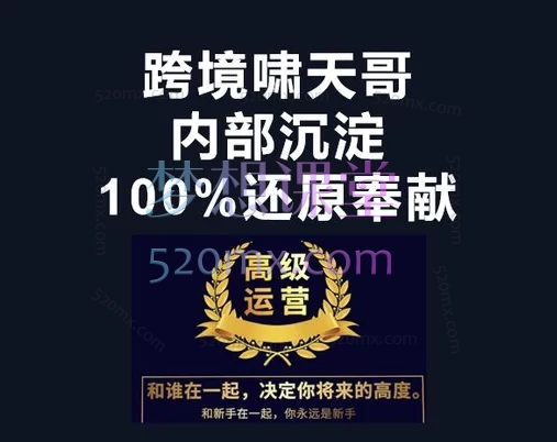 漫威跨境特训营，亚马逊选品策略、广告推广、产品优化