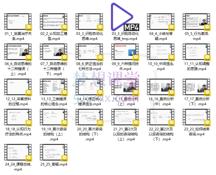 贝克认知行为疗法(25讲)纪宇