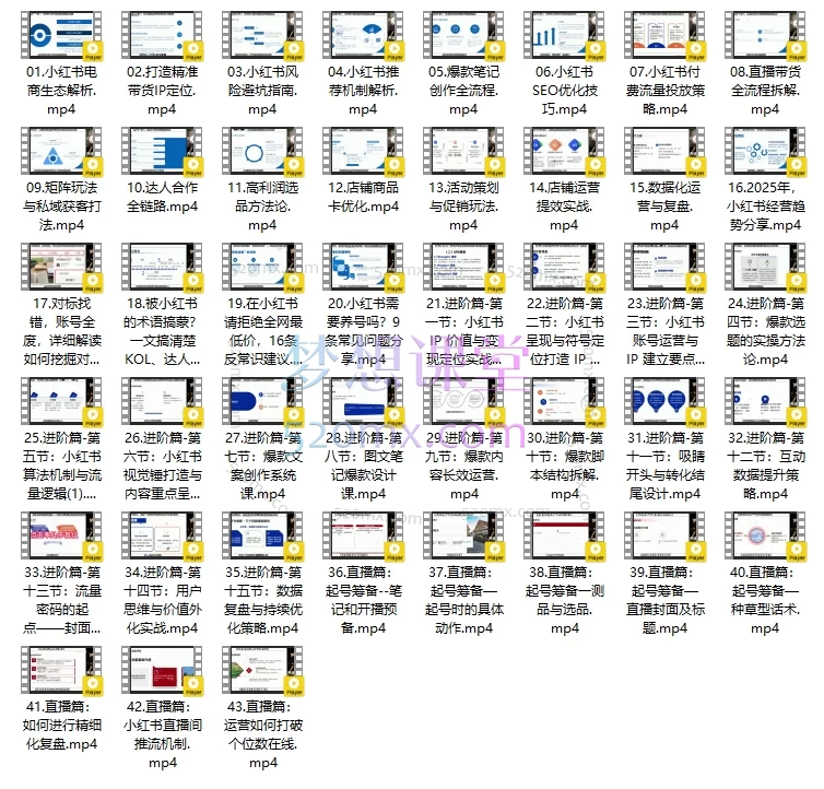 2025天诺老吴小红书电商全链路运营