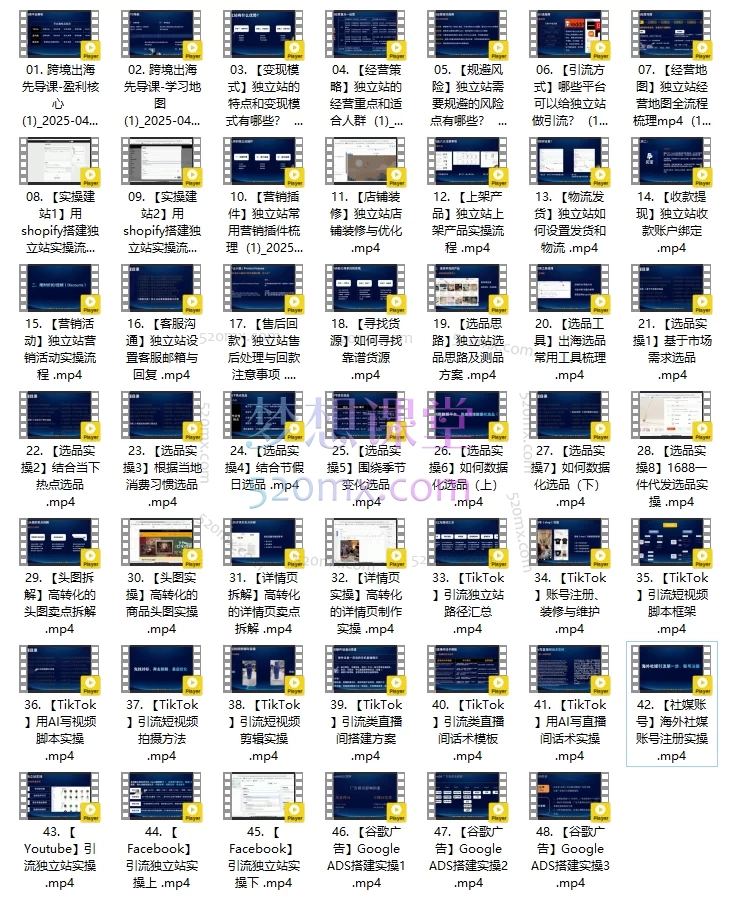 2025交个朋友出海课，跨境创富集训实战营+TikTok+YouTube+谷歌广告经营策略，店铺运营，精准选品，高效引流，全链路盈利逻辑！