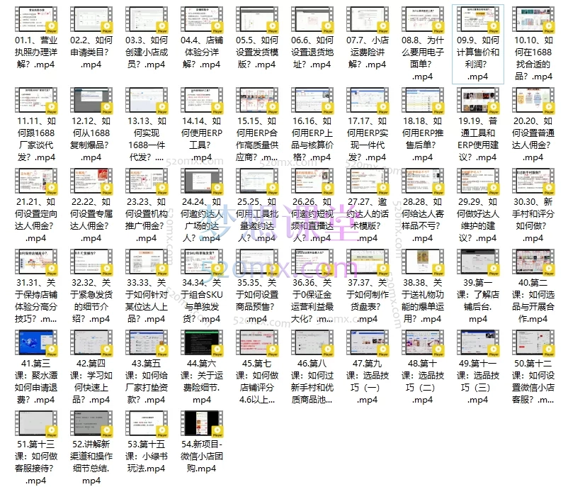 2025陈奶爸:微信小店-带货者实操课