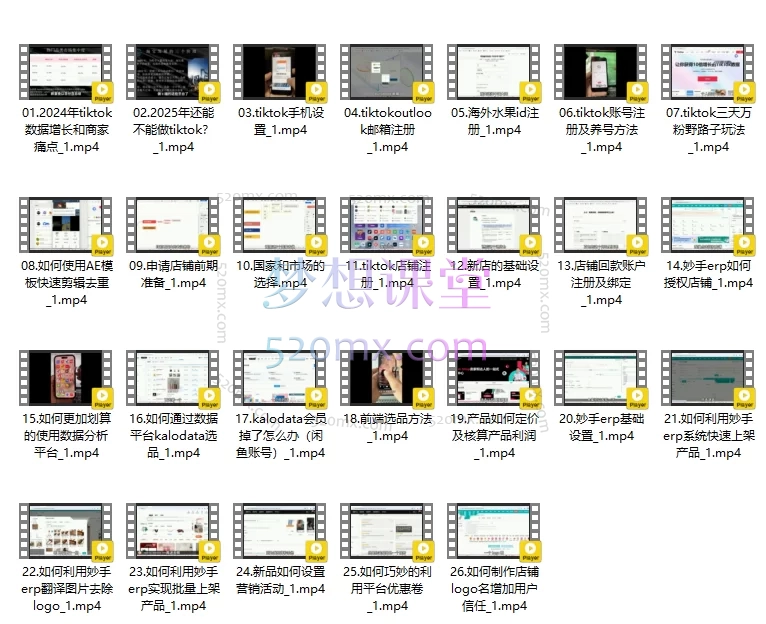 彩鲸俱乐部Tiktok2025跨境不迷茫训练营(更新版)