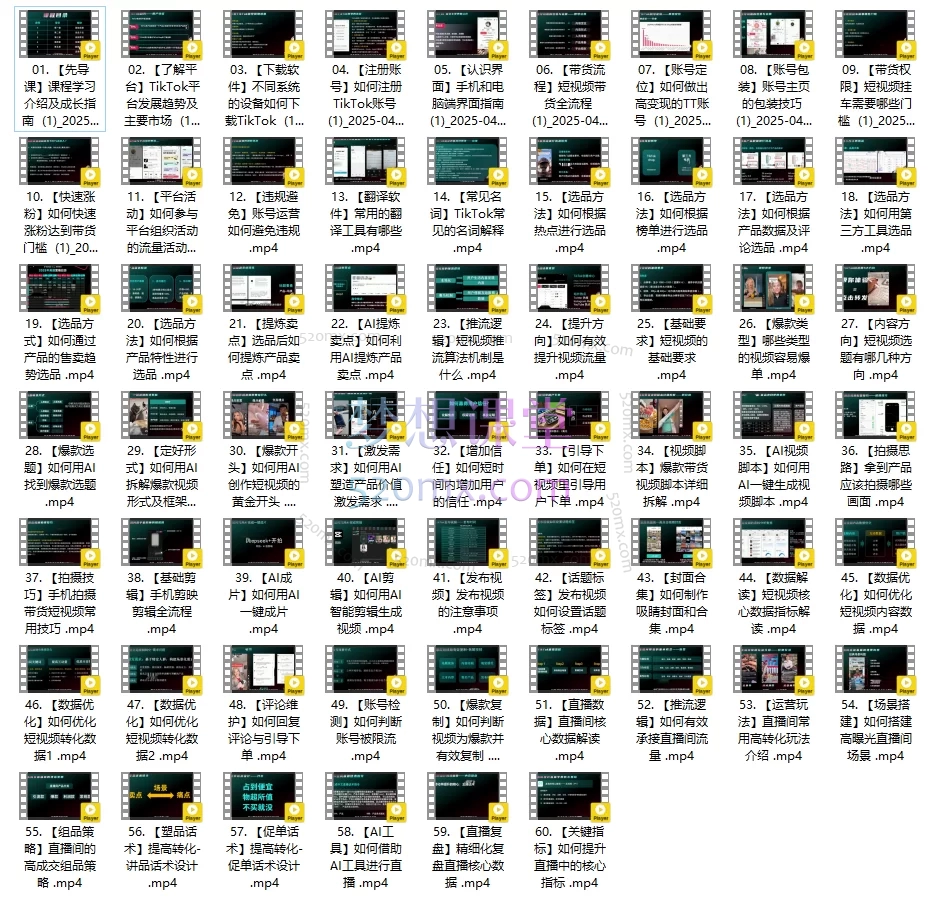 交个朋友:从0-1成为TikTok达人运营,TikTok跨境电商与短视频带货实战课