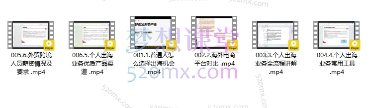 跨境外贸通:一个人怎么做外贸电商视频课+运营辅助工具讲解