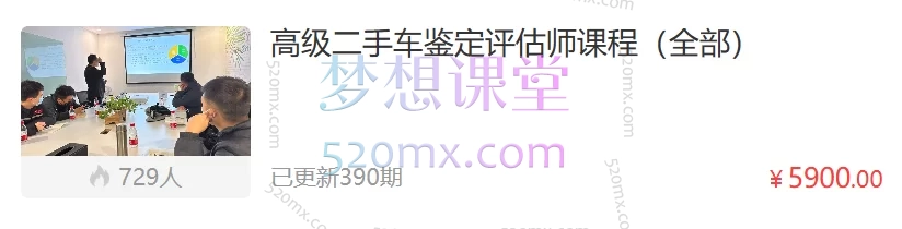 高级二手车鉴定评估师课程(全部)