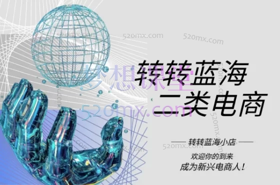 2025转转蓝海电商,二类电商从入门到精通