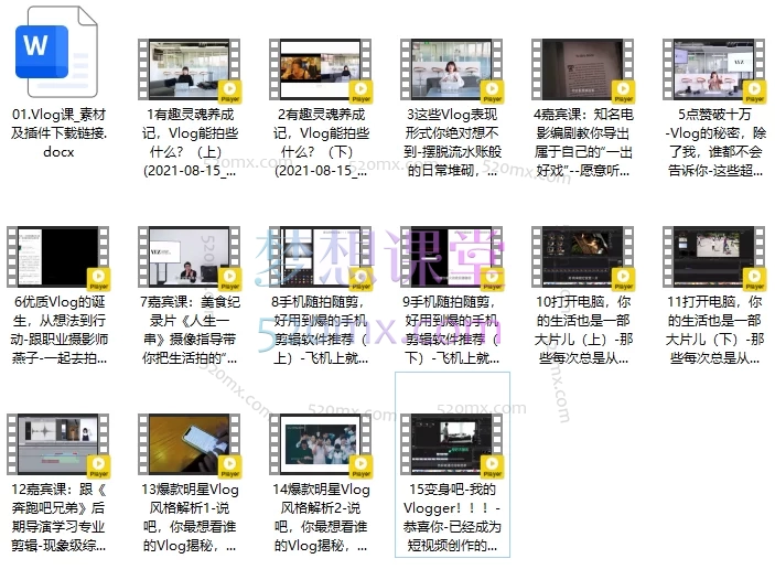 IYZ爱燕子摄影课堂Vlog视频课程