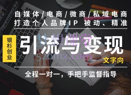 银杉创业-百万超级IP创业训练营,打造个人IP被动精准引流与营销变现【文字向个人IP】