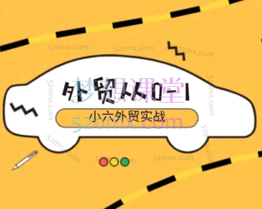 VIVI外贸创业记:小六外贸实战课-私教