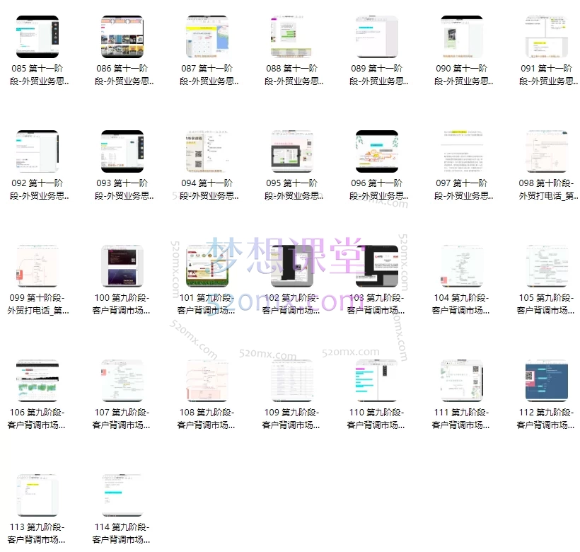 VIVI外贸创业记:小六外贸实战课-私教
