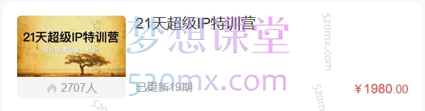 引爆超级个人IP+21天超级IP特训营