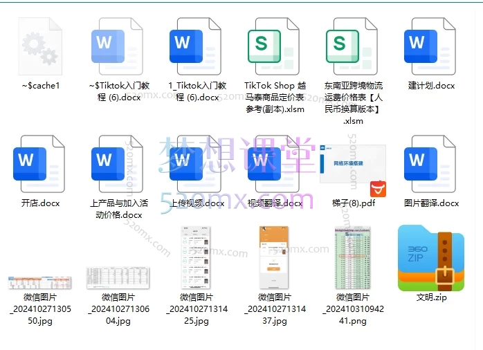 孤狼东南亚Tiktok小店电商线下课（视频+音频+课件）