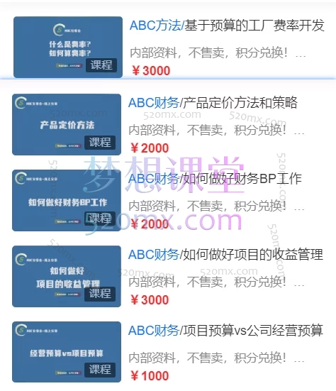 ABC成本分析:财务BP工作、基于预算工厂税率开发、产品定价方法策略、项目收益管理、项目预算VS公司预算