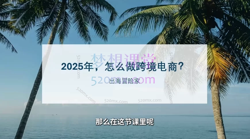 2025出海冒险家:社媒+独立站线上视频课30节——爆品开发、TK流量变现与私域增长系统
