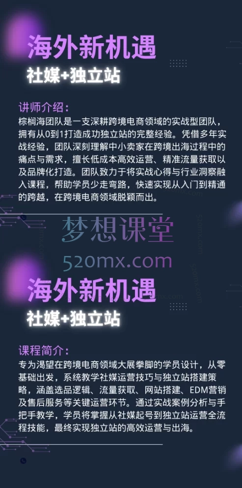 2025出海冒险家：社媒+独立站线上视频课30节——爆品开发、TK流量变现与私域增长系统