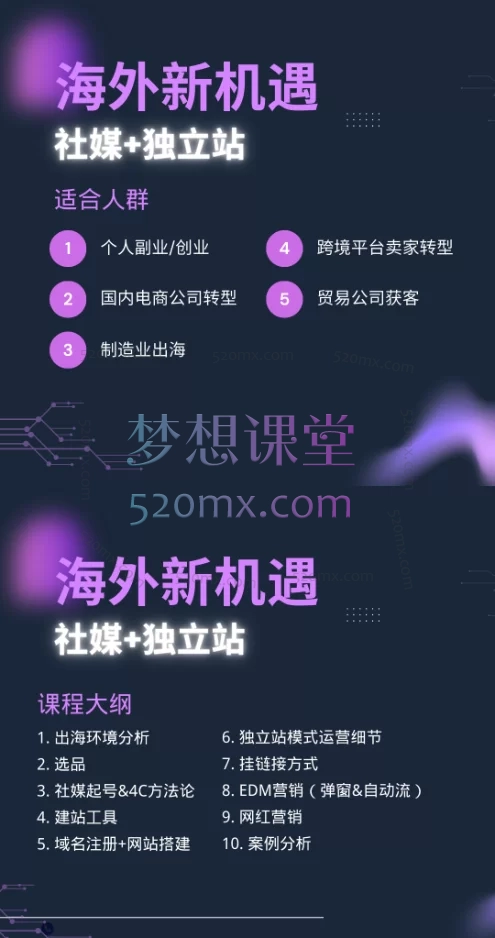 2025出海冒险家：社媒+独立站线上视频课30节——爆品开发、TK流量变现与私域增长系统
