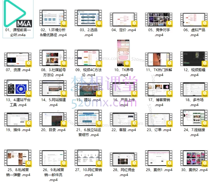 2025出海冒险家：社媒+独立站线上视频课30节——爆品开发、TK流量变现与私域增长系统