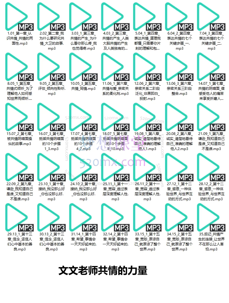 书享吧共情的力量+文文老师共情的力量,一个情商高的人如何抚慰受伤的灵魂