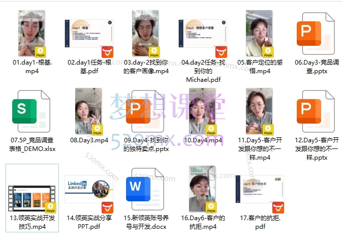 Alisa的外贸圈：21天客户开发挑战，精准画像+竞品分析+LinkedIn领英高效获客与转化