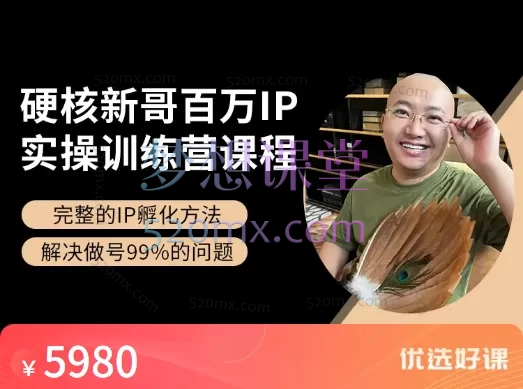 硬核新哥:百万IP实操落地训练系统课程