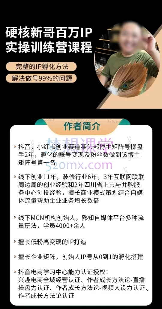 硬核新哥：百万IP实操落地训练系统课程