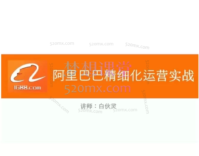 飞橙白伙灵:阿里巴巴精细化运营实战课,专为阿里巴巴1688商家及电商运营者打造