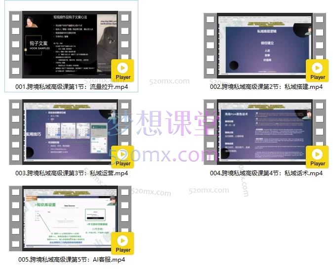 山姆神sam跨境私域3.0线上+AI智能客服高级课
