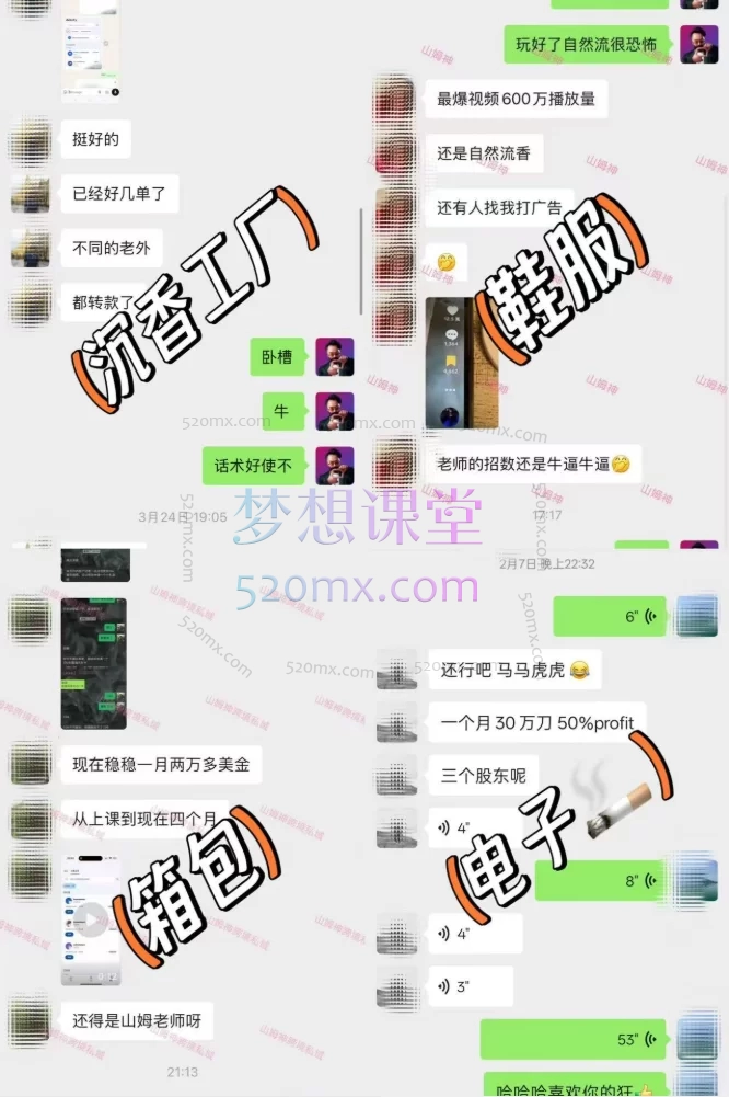 山姆神sam跨境私域3.0线上+AI智能客服高级课